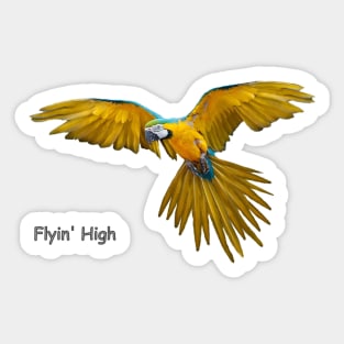 Blue Yellow Flying Parrot Birds Sticker